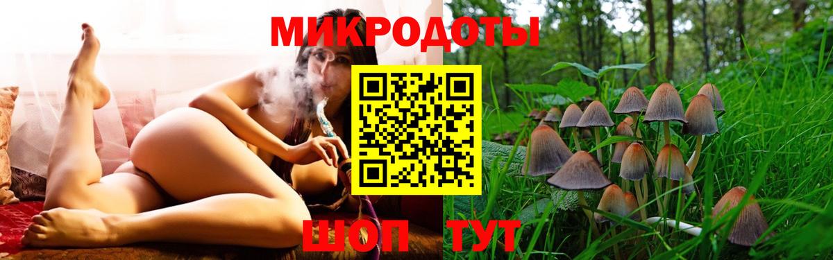 Псилоцибиновые грибы Cubensis Советская Гавань