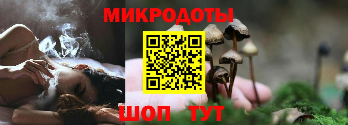 Советская Гавань  Галлюциногенные грибы прущие грибы  Вход с VPN 
